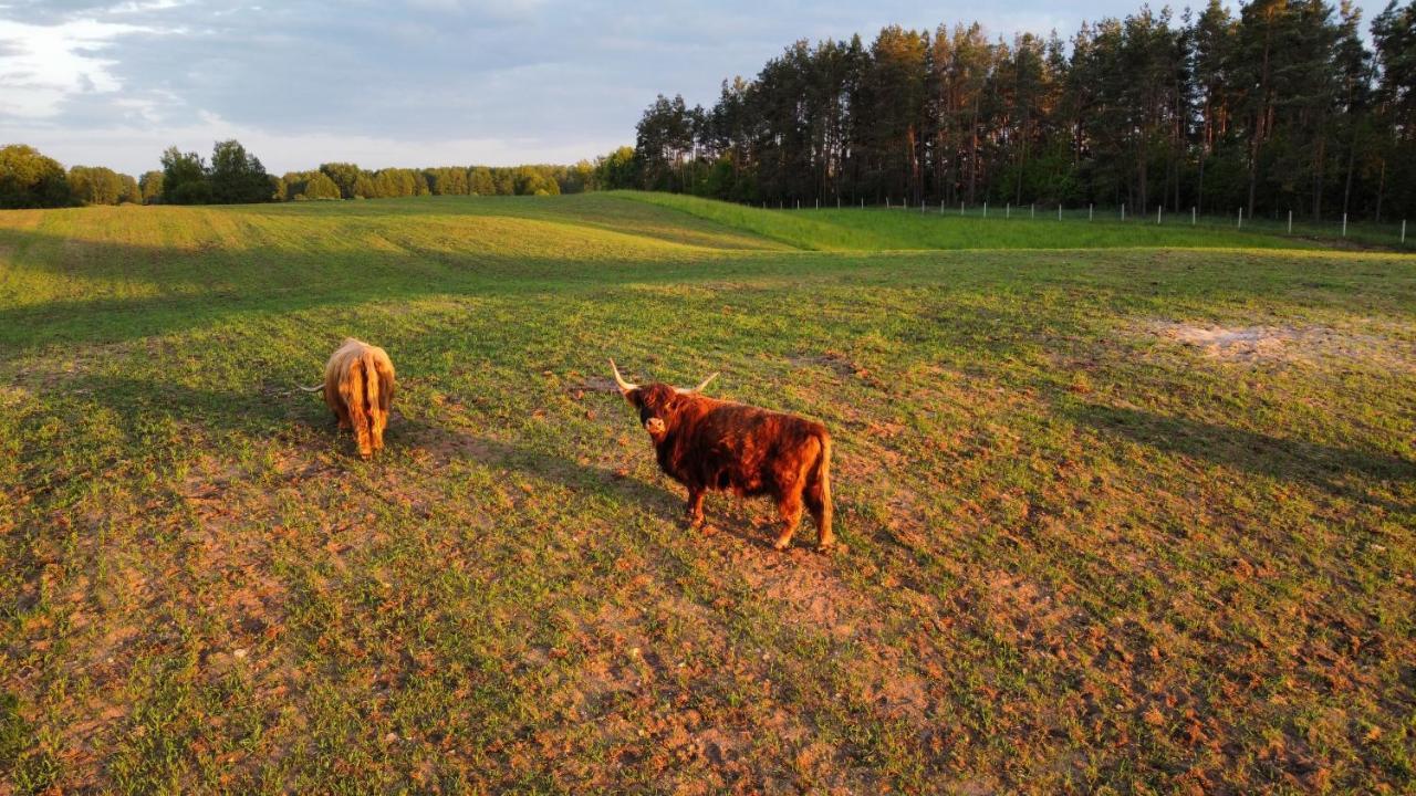 Krasne Pole Gospodarstwo Rolne Krasnopol Buitenkant foto